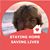 Robin Merrifield's profile image