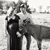 Melanie Keating's profile image