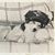Jo Grossman's profile image
