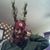 Jeff Roach's profile image