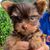 Tamilyn Diaz's profile image