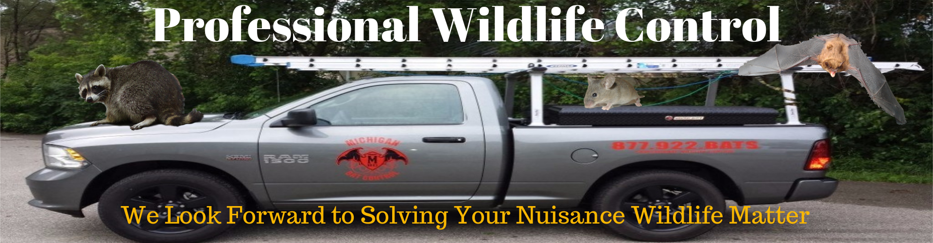 Michigan Bat Control, Inc.'s cover image