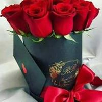 አህመድአራጋው ሙሀመድ's profile image