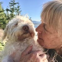 Catherine Carey's profile image