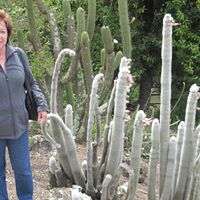 Susan Cooper's profile image