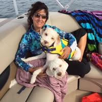 Chris Rapp's profile image