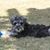 Dianne Barron's profile image