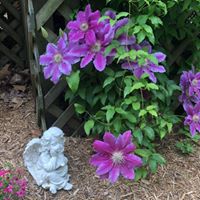 Donna Sager's profile image