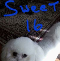 Dianne Taylor's profile image