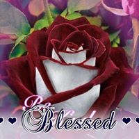 Stacey Ahola's profile image