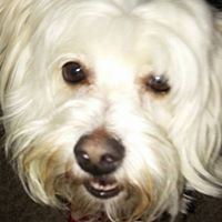 Linda Keller's profile image