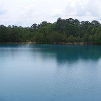 Perry Mark Swindle's profile image