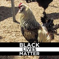Annette Keenberg's profile image