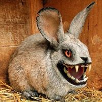 Keith Christensen's profile image