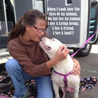 Cheryl White's profile image