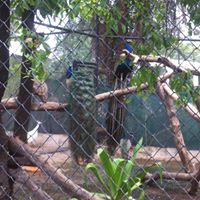 Madiha Fatima's profile image