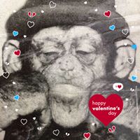 Eddie Garmon's profile image