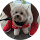 Kourtney Mark avatar