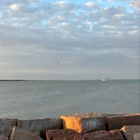 Dev West's profile image