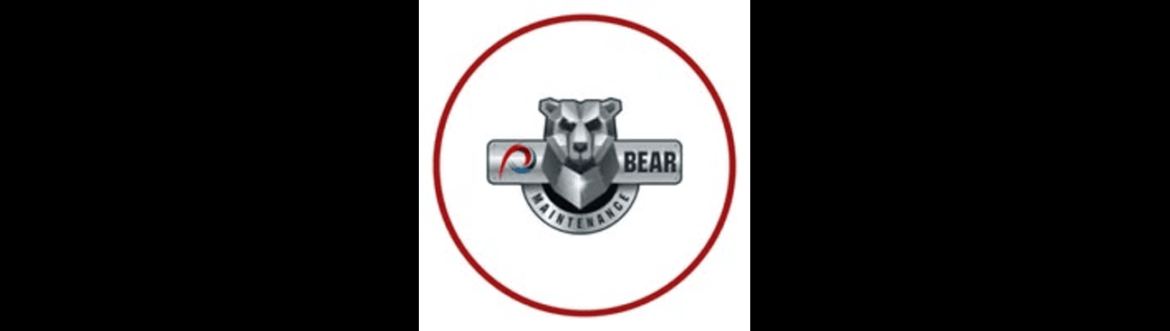 P Bear Maintenace's cover image