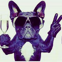 Lucho M Ojd Ysslm's profile image