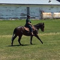 Sandi Hebig's profile image