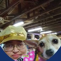 Debbie J Garcia's profile image