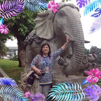 Linda Chu's profile image