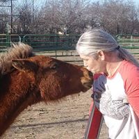 Cindy Carter's profile image