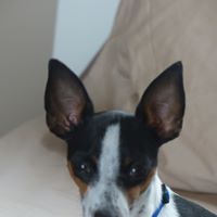 Shirley Martinez De Villa's profile image