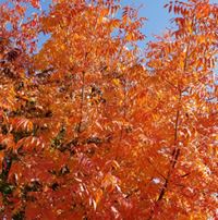 Tabatha Mooney's profile image