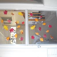 Nancy Lopez's profile image