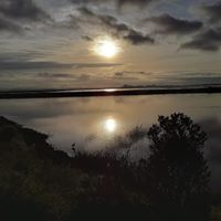 Tracey Lynn Eskew's profile image