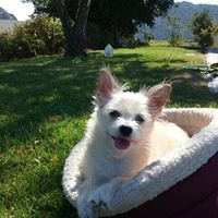 Kimber Miller's profile image
