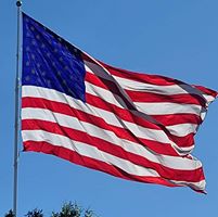 Tami Olson's profile image