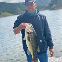 Richard Moiola's profile image