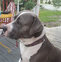 Tamara Seigel's profile image