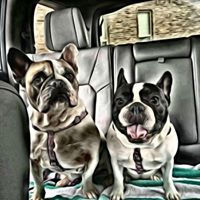 Lynn Espejo's profile image
