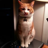 Beth Mantiply's profile image