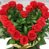 Manuela Rojas's profile image