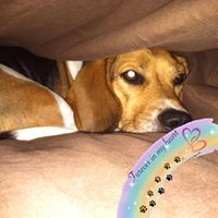 Jodi Kidman's profile image