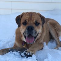 Linda Miller's profile image