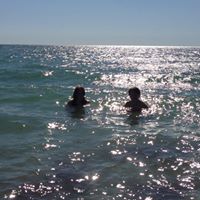 Megan Fay's profile image