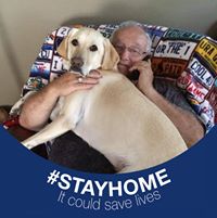 Tom Rigg's profile image