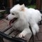 Kevin Z.'s profile image