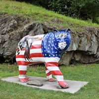 Debi Michele Curl's profile image