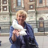 Donna Biggs Hansen's profile image