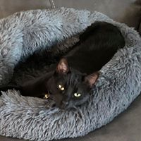 Misty Street's profile image
