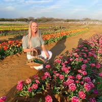 Monica Gossling Powell's profile image