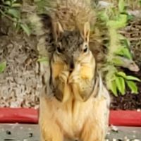 Amos Jakbvts's profile image
